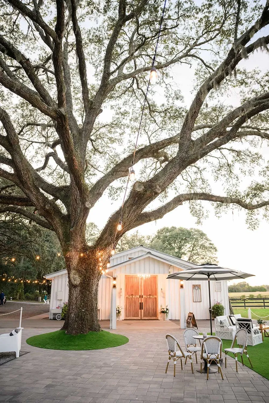 The Ceremony Tree and the Legacy Barn