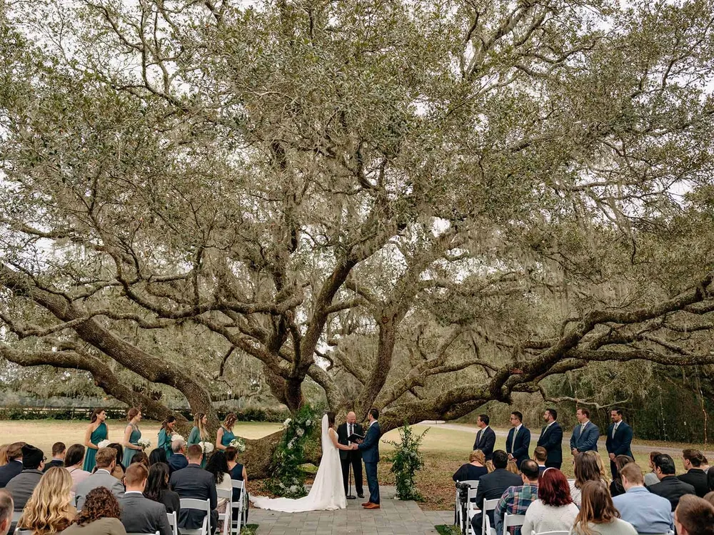 A couple saying their vows beneath the Ceremony Tree