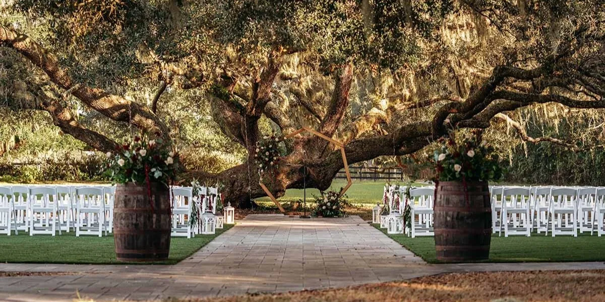 The Ceremony Tree set up for a ceremony
