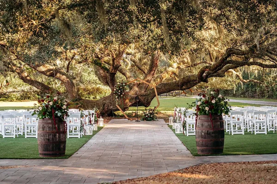 Chairs set up at the Ceremony Tree