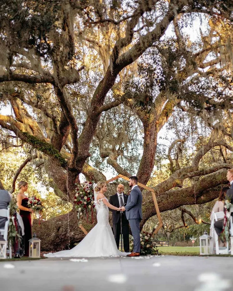 Their ceremony at the Ceremony Tree