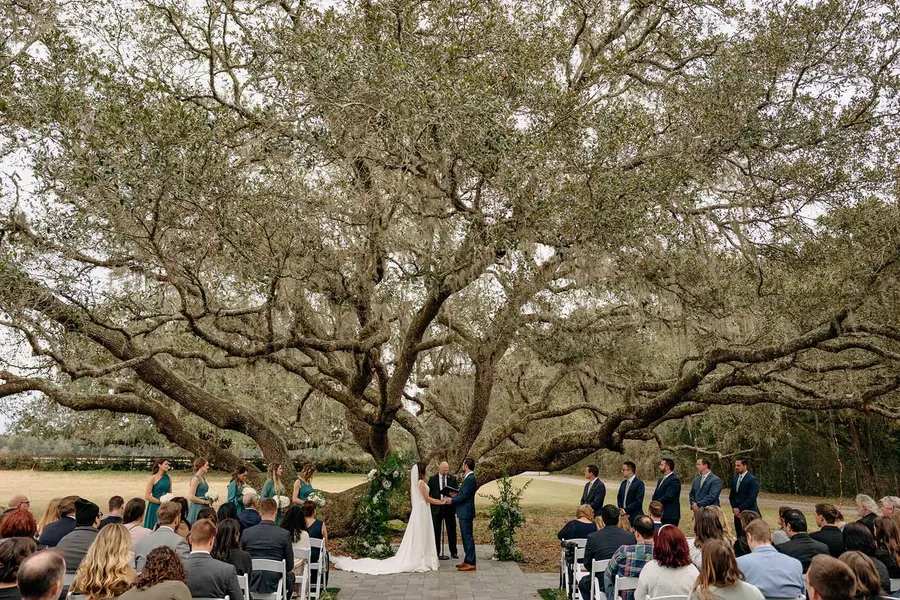 Their ceremony at the Ceremony Tree